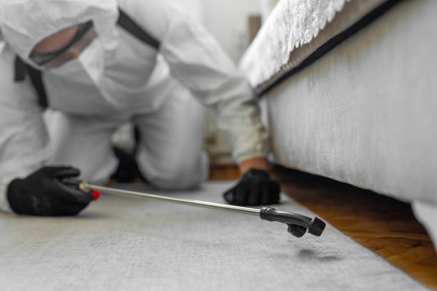 Professional Cockroach Control technician working in Fall River, MA