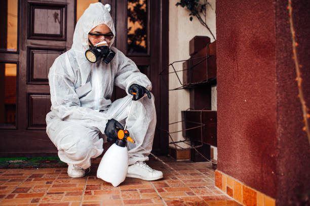 Reliable Cockroach Control contractor in Fall River, MA by Nex Pest Control